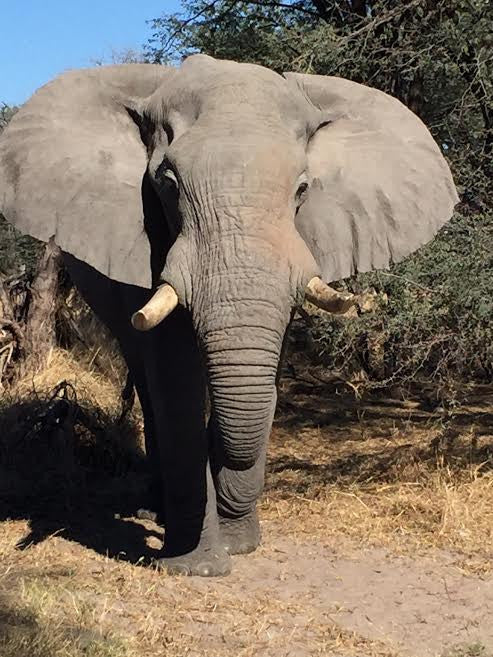 My trip to Southern Africa