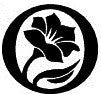 Welcome to Folkwear's new website!