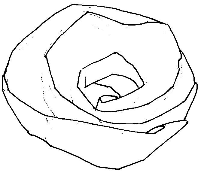 Flat line drawing of rosette decorative piece. 