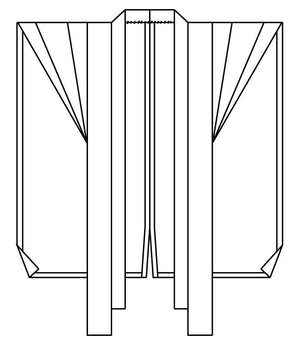 Flat line drawing of Kataginu